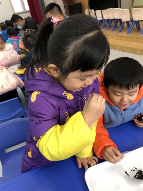 图片6_conew1.png